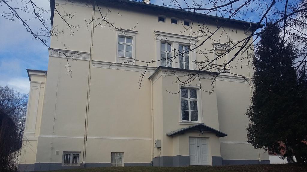 Agroturystyka "Palac W Janowie" Екстериор снимка